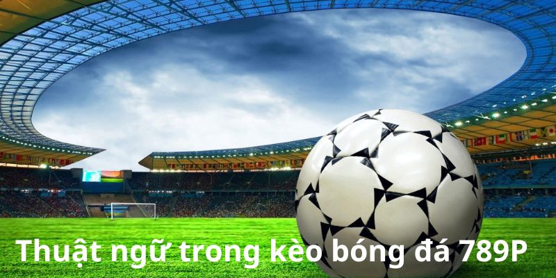 Thuật ngữ cách đọc kèo bóng đá 789p