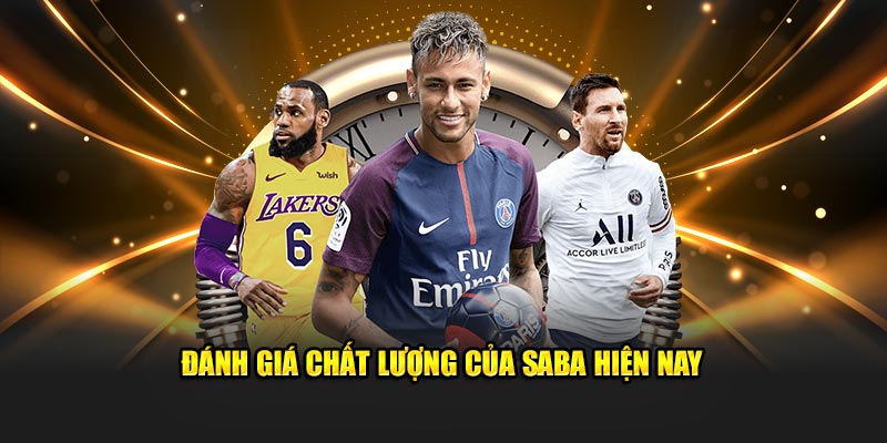 Chất lượng saba thể thao 789p