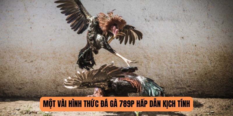 Hình thức đá gà 789P